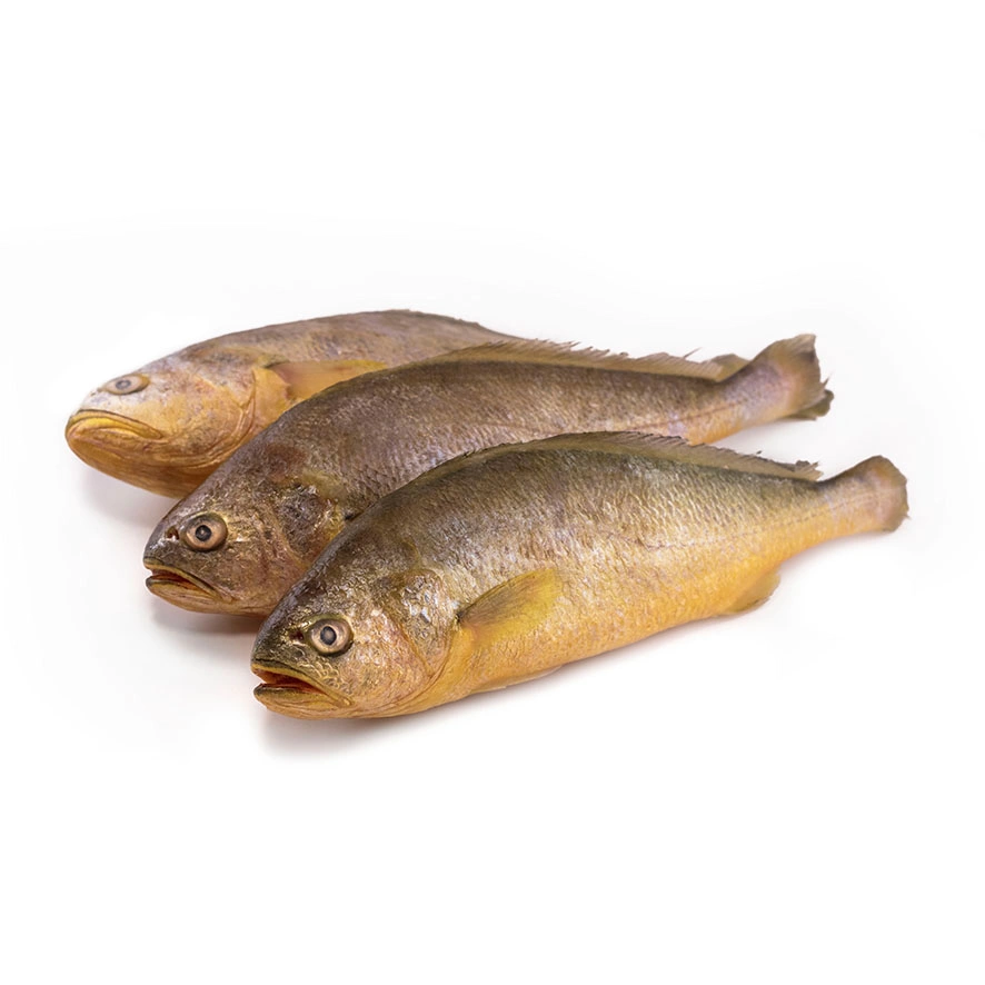 Fisk Yellow Croaker Fryst Netto:800g ca 200-300g/st