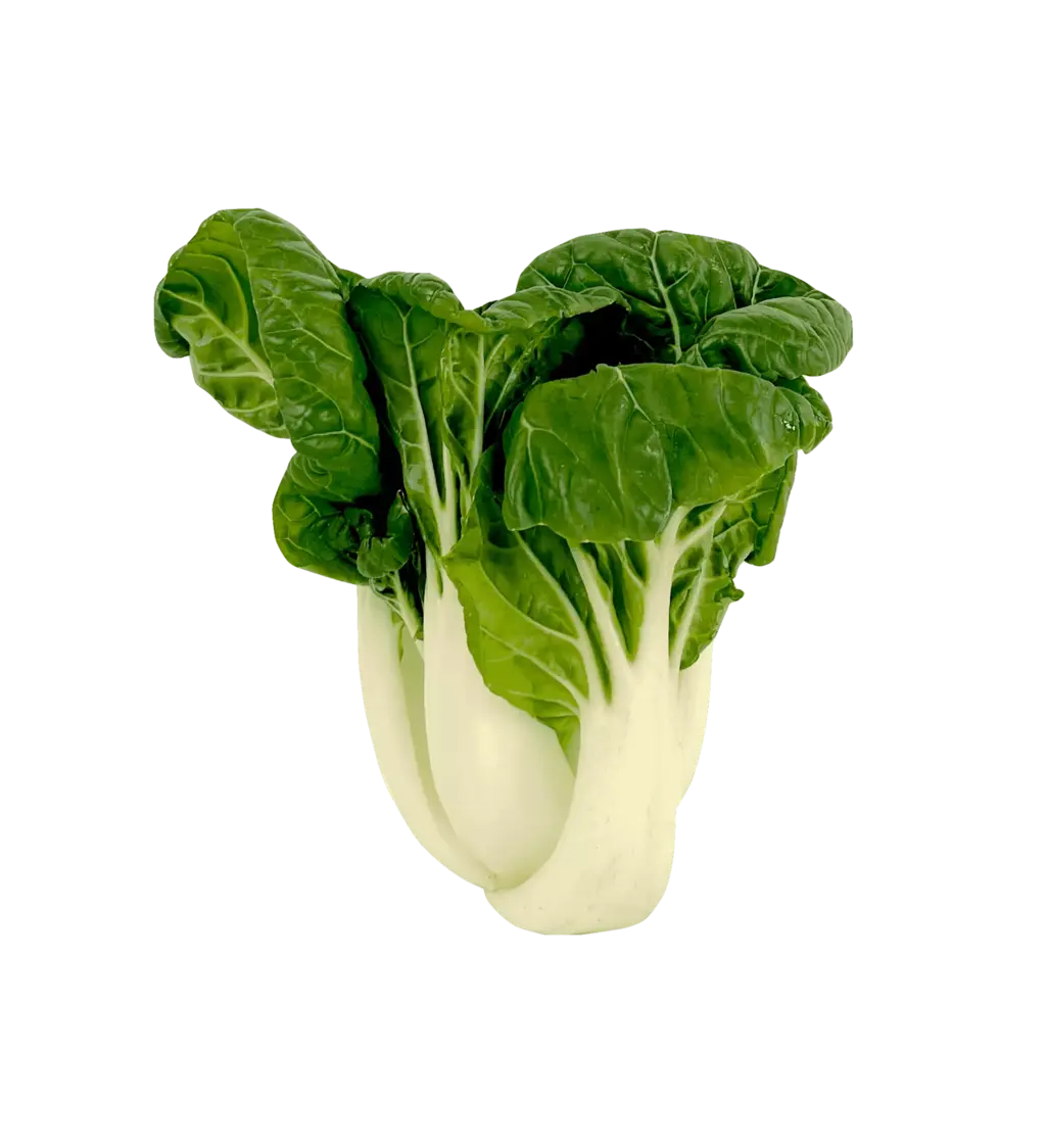 迷你奶白菜/白梗上海青 每包 约500克  荷兰