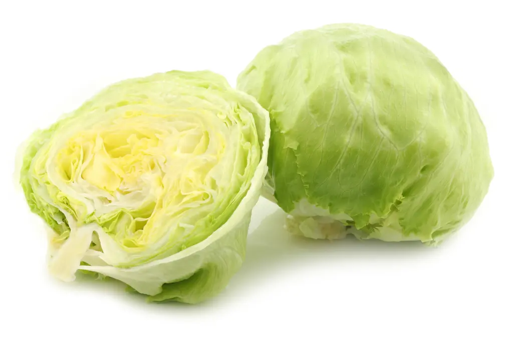 Iceberg Lettuce ca400-600g price per piece Netherlands