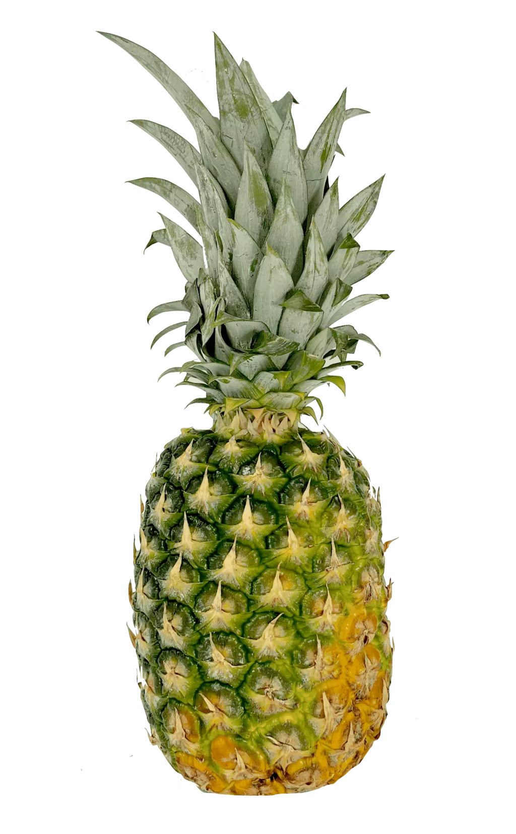 新鲜菠萝  约1400g-1700g/个, 以颗为计价 哥斯达黎加