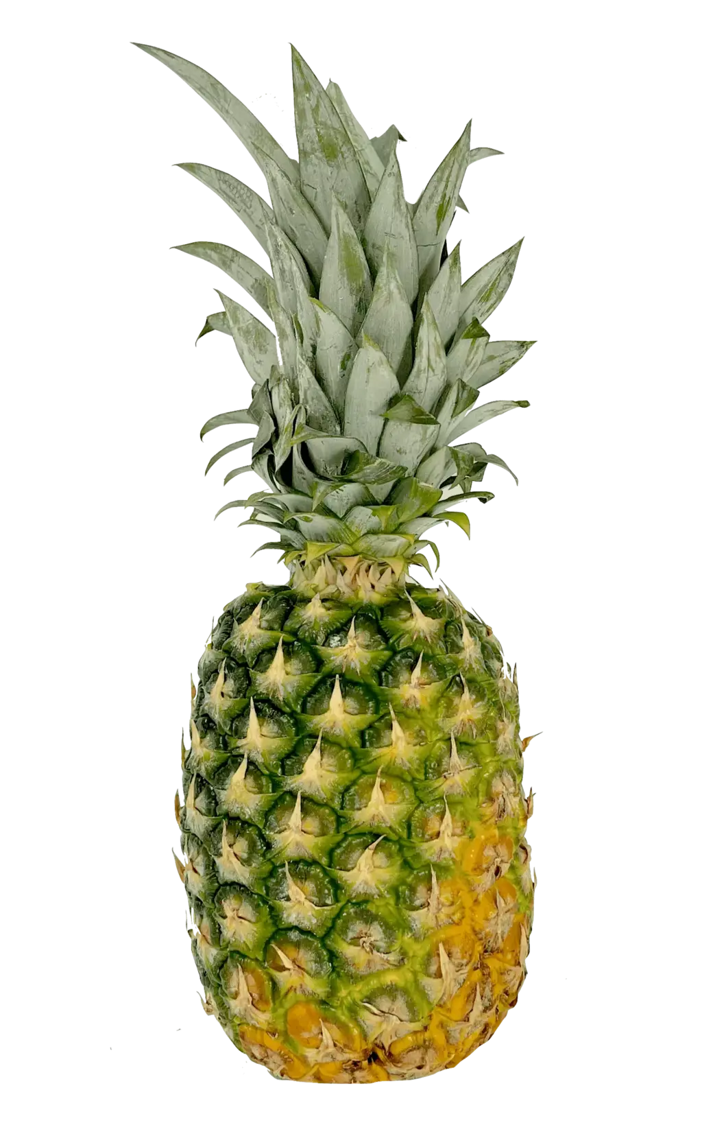 Pineapple , price per piece Costa Rica