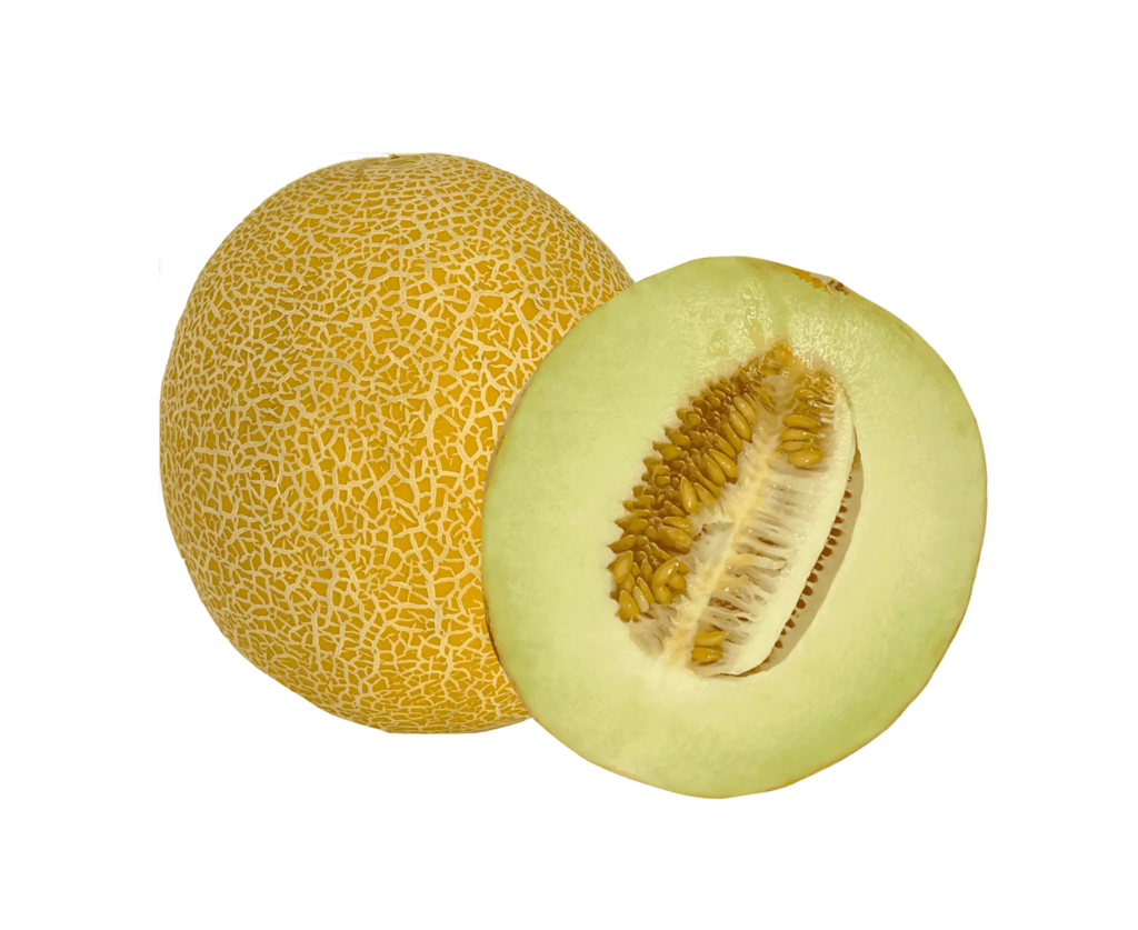 Melon Galia ca 800g-1000g/per Styck Brasilien
