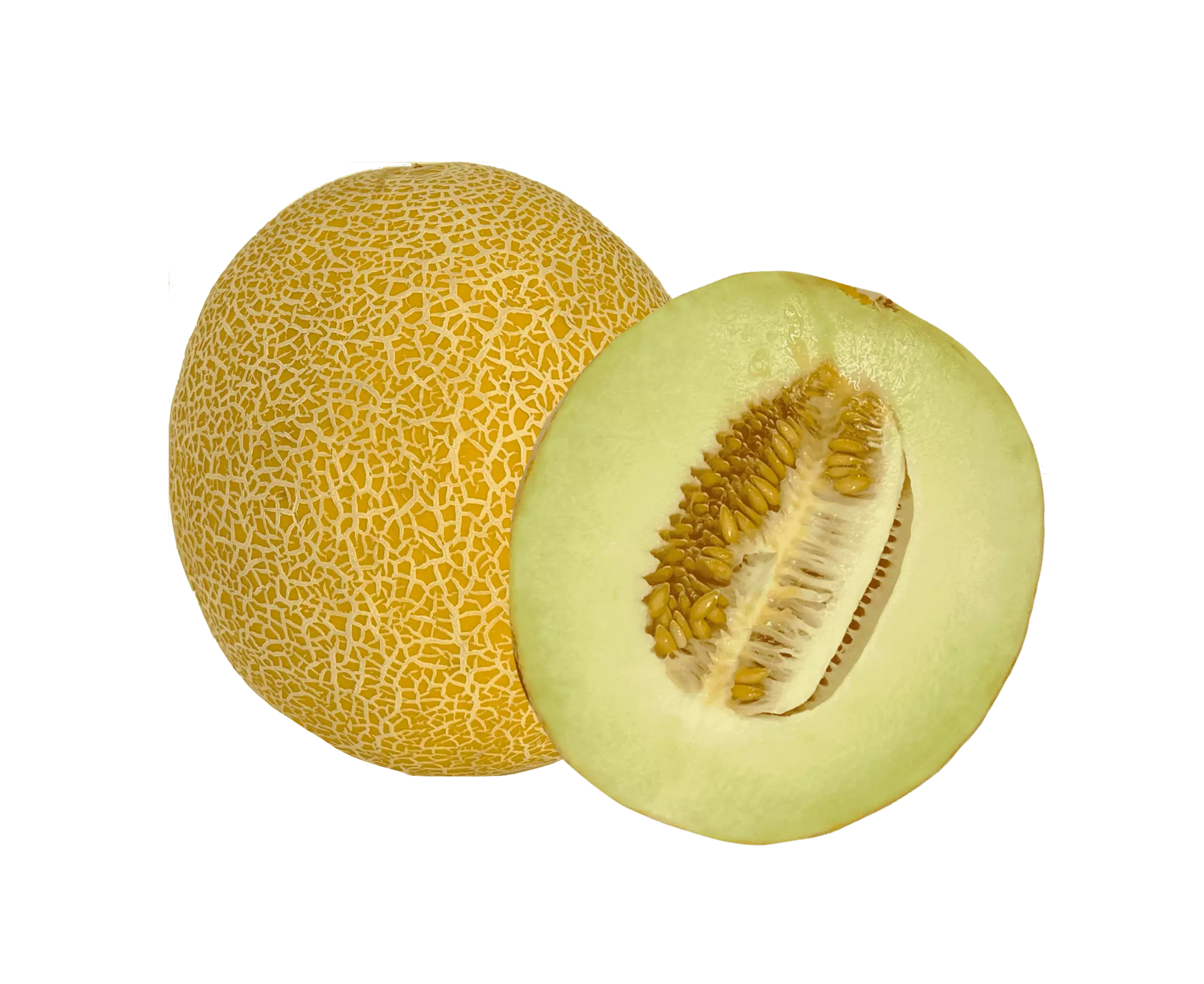 Melon Galia yellow ca1100g-1200g/per Piece, Price Per Piece - Brazil