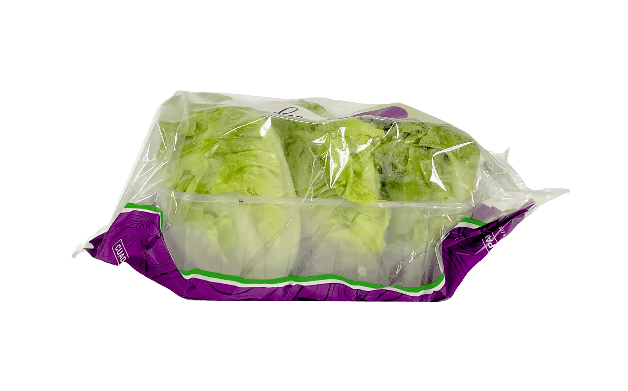 Little Gem Salad ca450g / bag - Spain