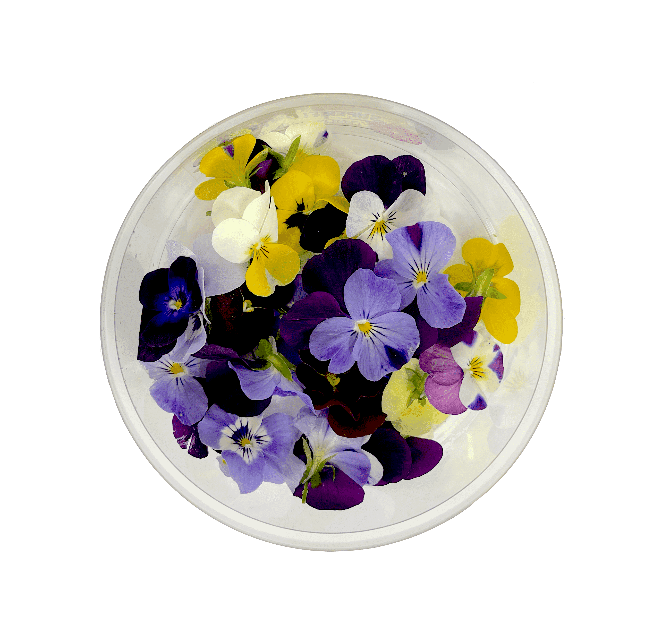 食用花卉，紫罗兰色花/單盒 荷兰