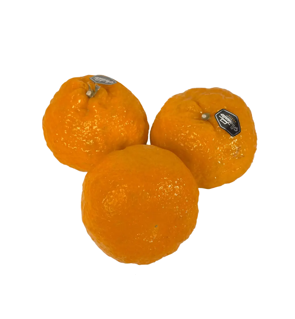 Mandarin Ca900-1000g / package Spain