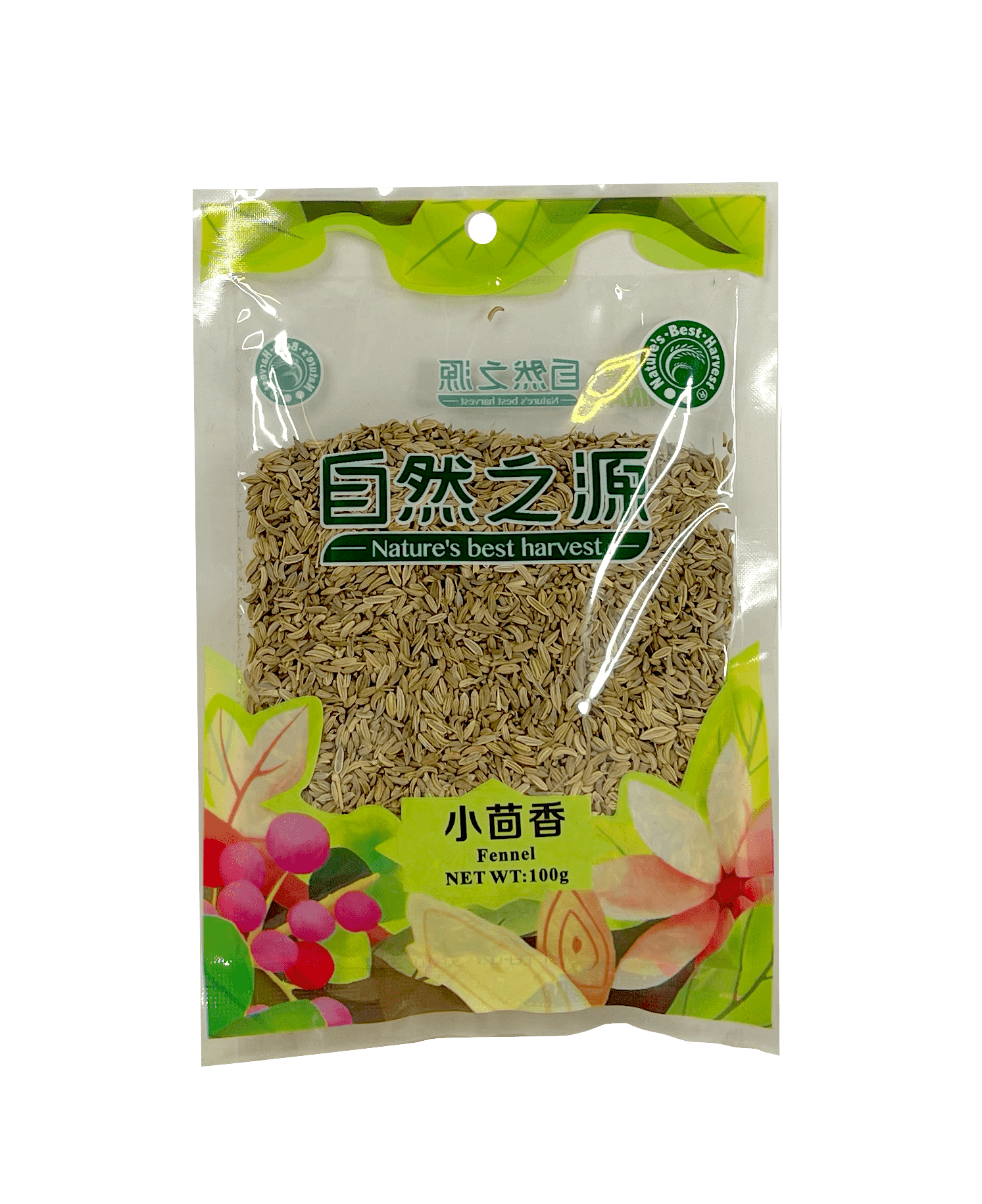 Fennel 100g NBH China