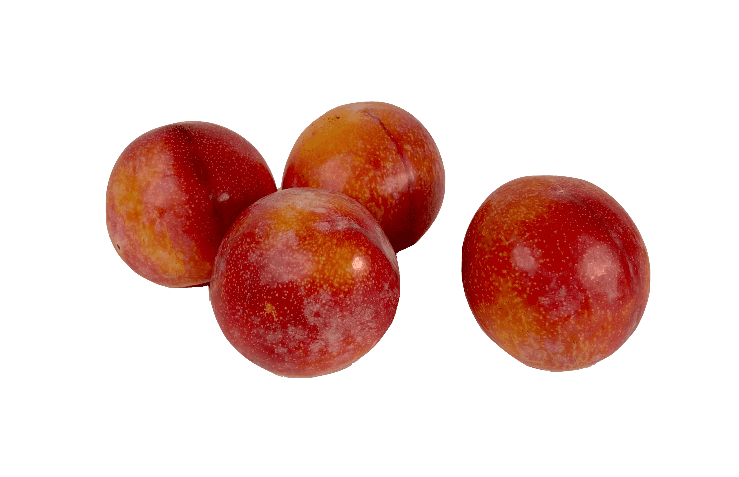 Plum African Delight ca900-1000g/pack-South Africa-price per pack
