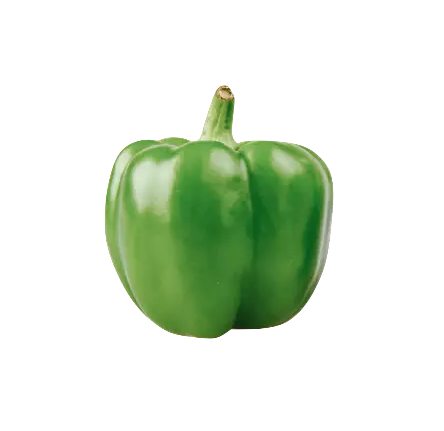 Paprika Round Green Ca 400-500g / Pack Netherlands