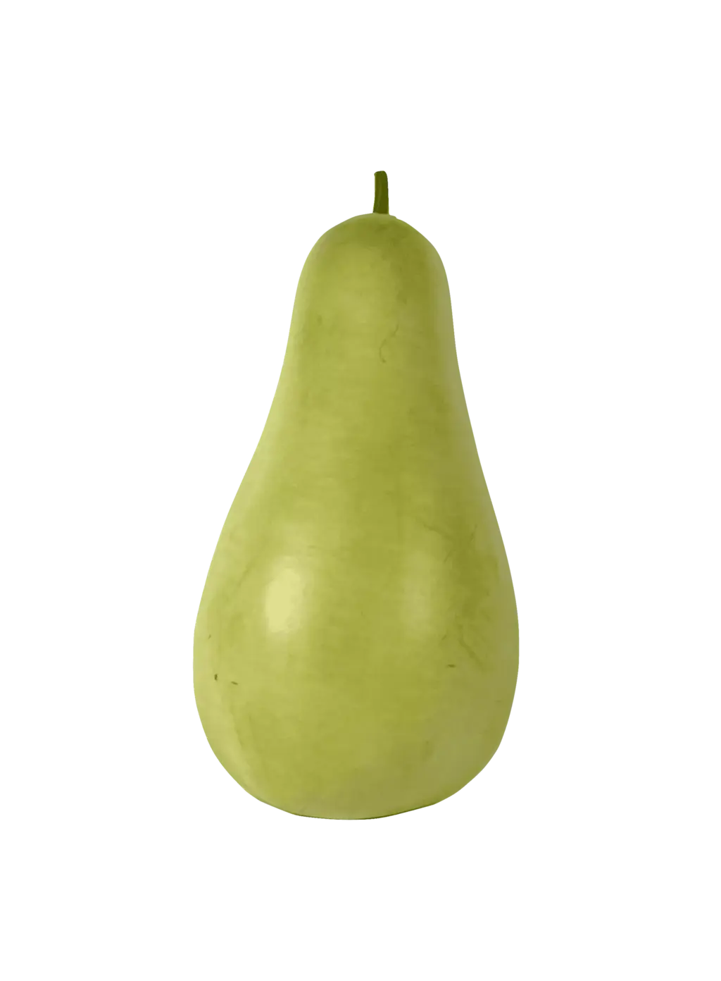 Kalebass Pu Gua ca450-600g/st Pris per styck Spanien