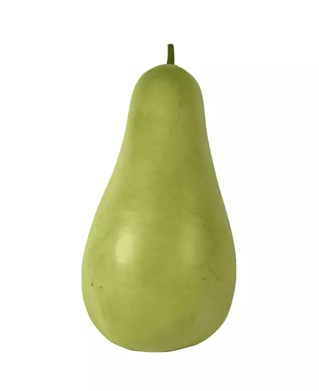 Kalebass Pu Gua ca900-1000g/st-Spanien-Pris per styck