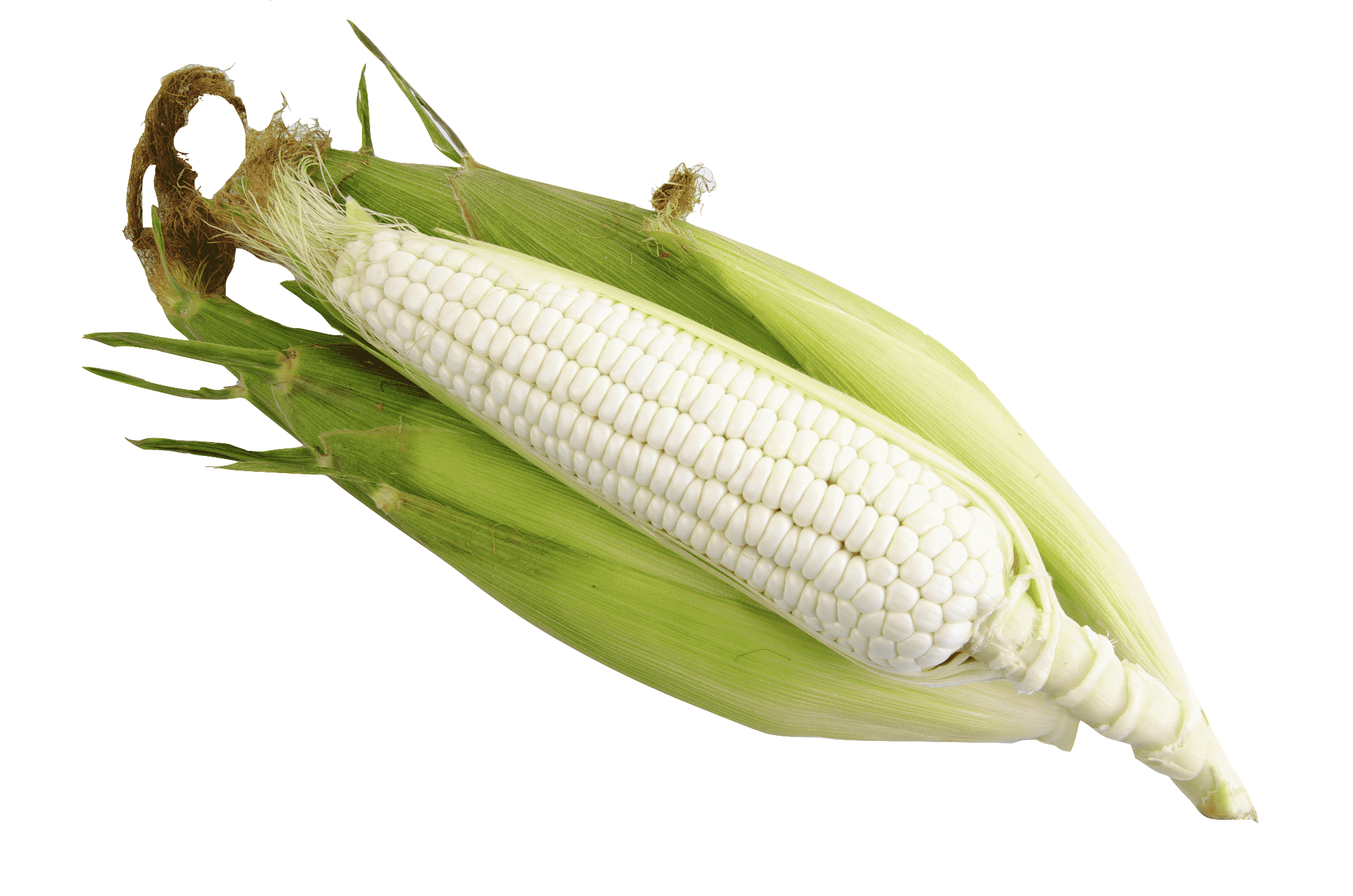 新鮮 白色 糯玉米 单條計價  西班牙