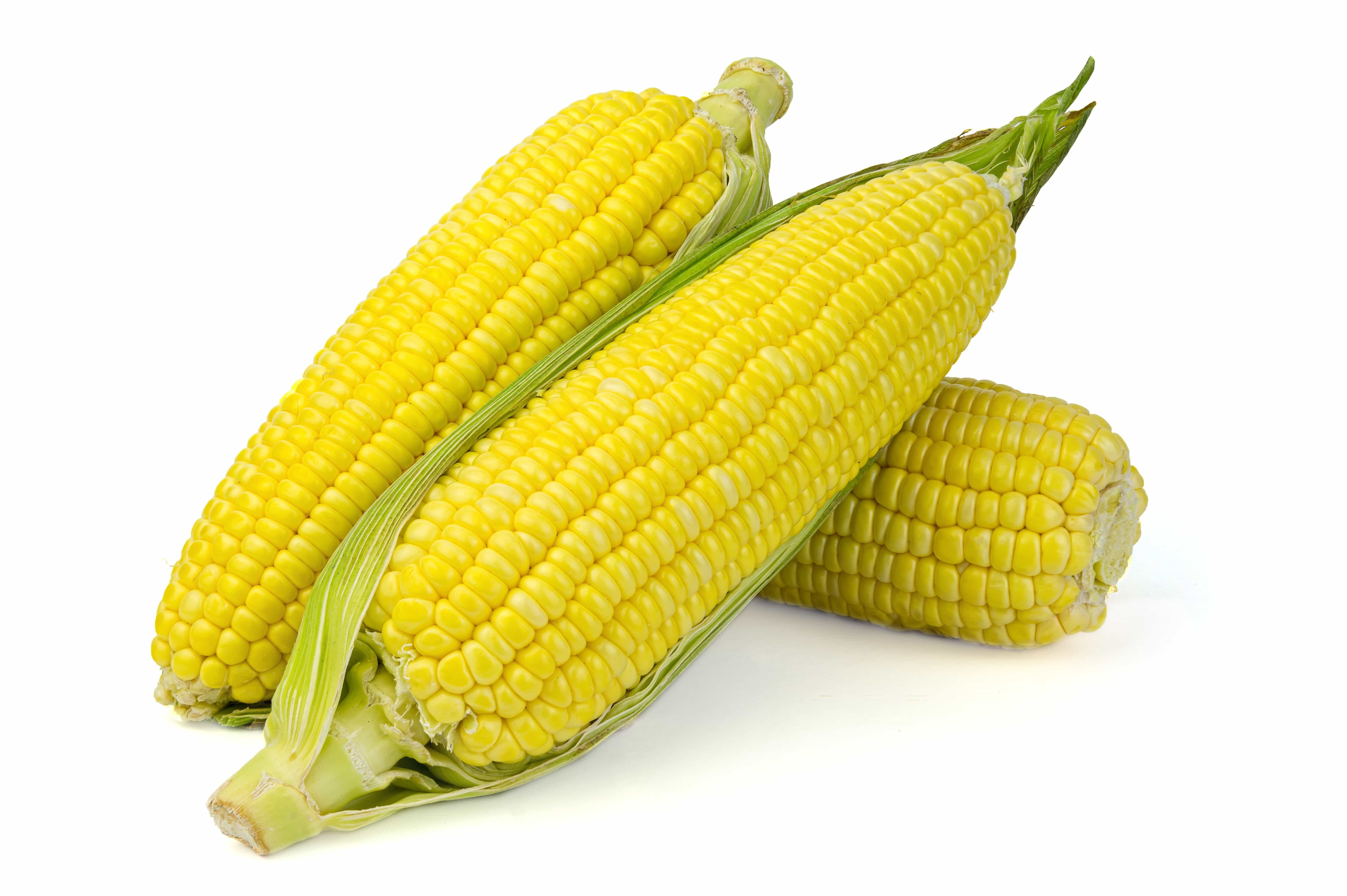 Sweet Corn, price per piece Netherlands