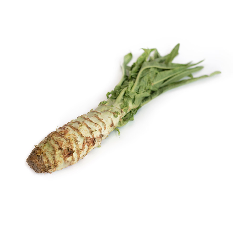 Asparagus lettuce (Wo Sun) 1000-1100g/Pac - Spain