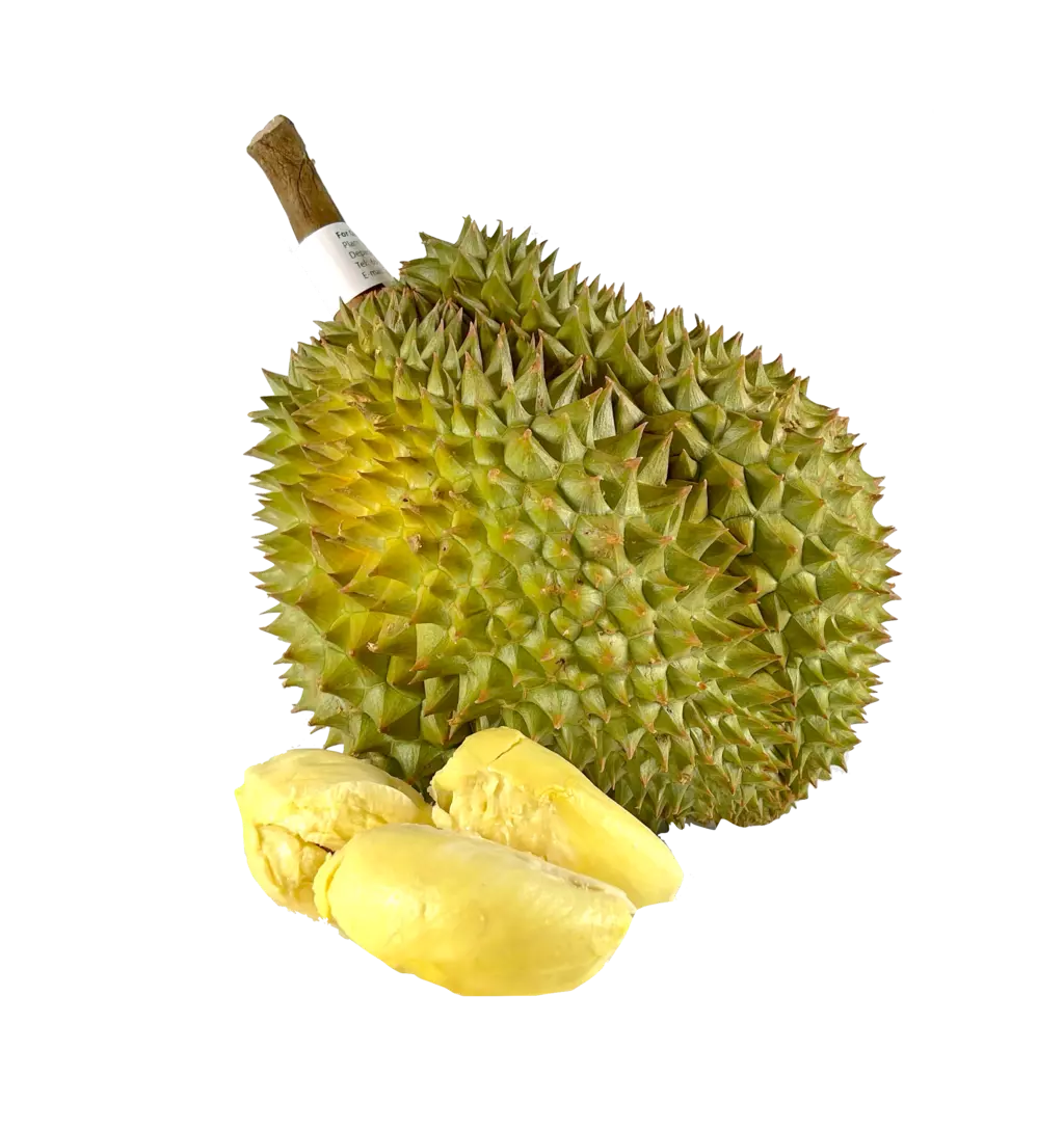 Durian Fruit Frozen ca1.6-1.8Kg/st Thailand