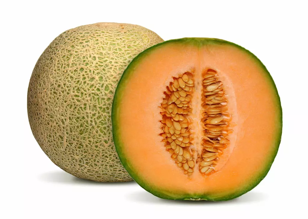 Melon Cantaloupe  green c1300g-1500g/per Piece. Price of Piece- Brazil