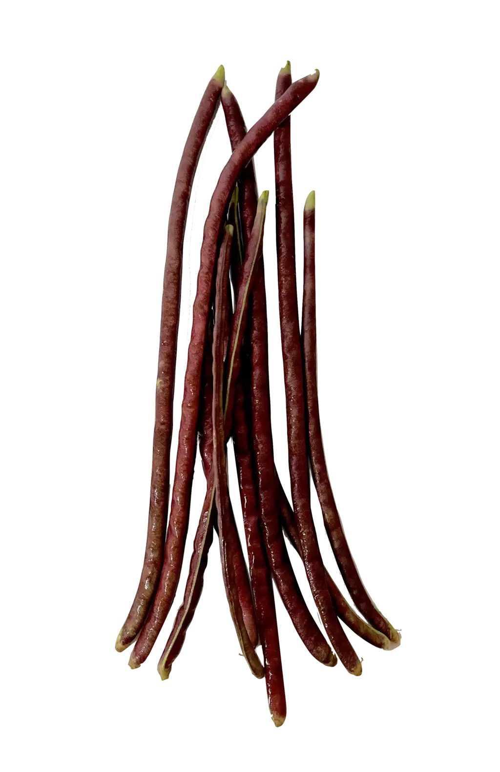 Long Beans red 400g Morocco