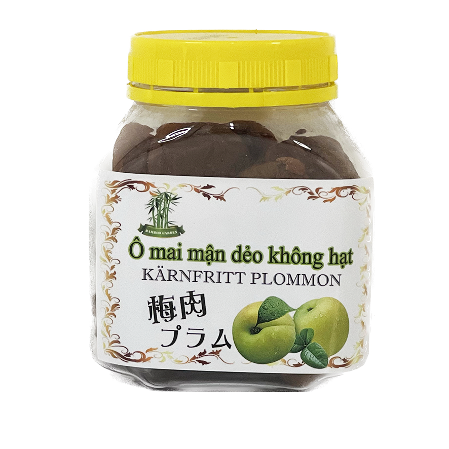 Plum Dried Fruit Flesh 100g - China