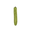 Kalebass Pu Gua ca450-600g/st Pris per styck Spanien