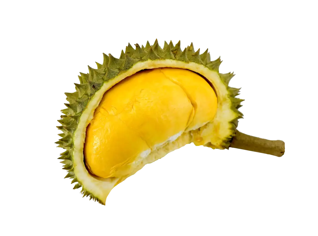 Färska Durian Fruktkött 500g Vietnamn