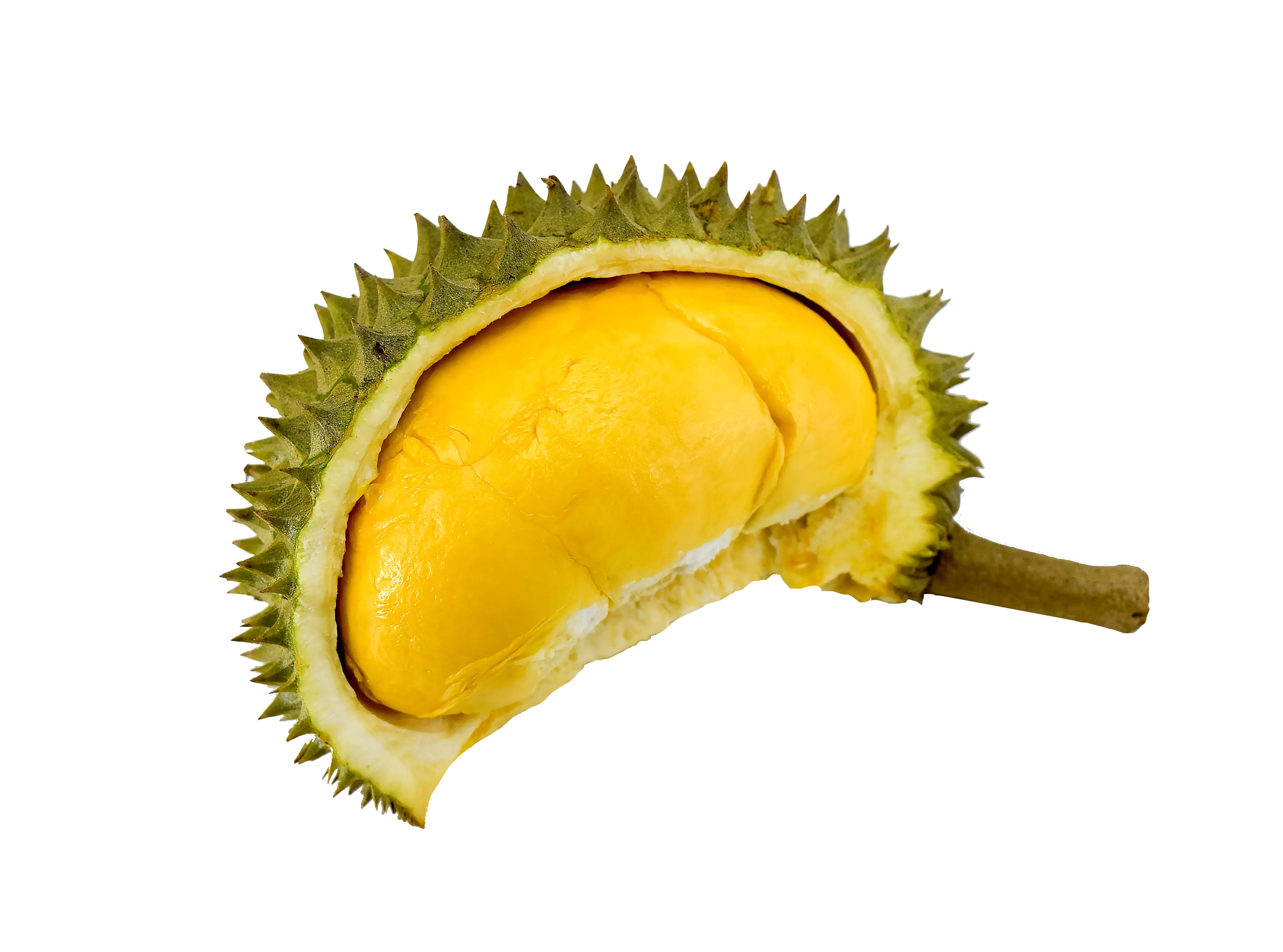 Färska Durian Fruktkött 500g Vietnamn