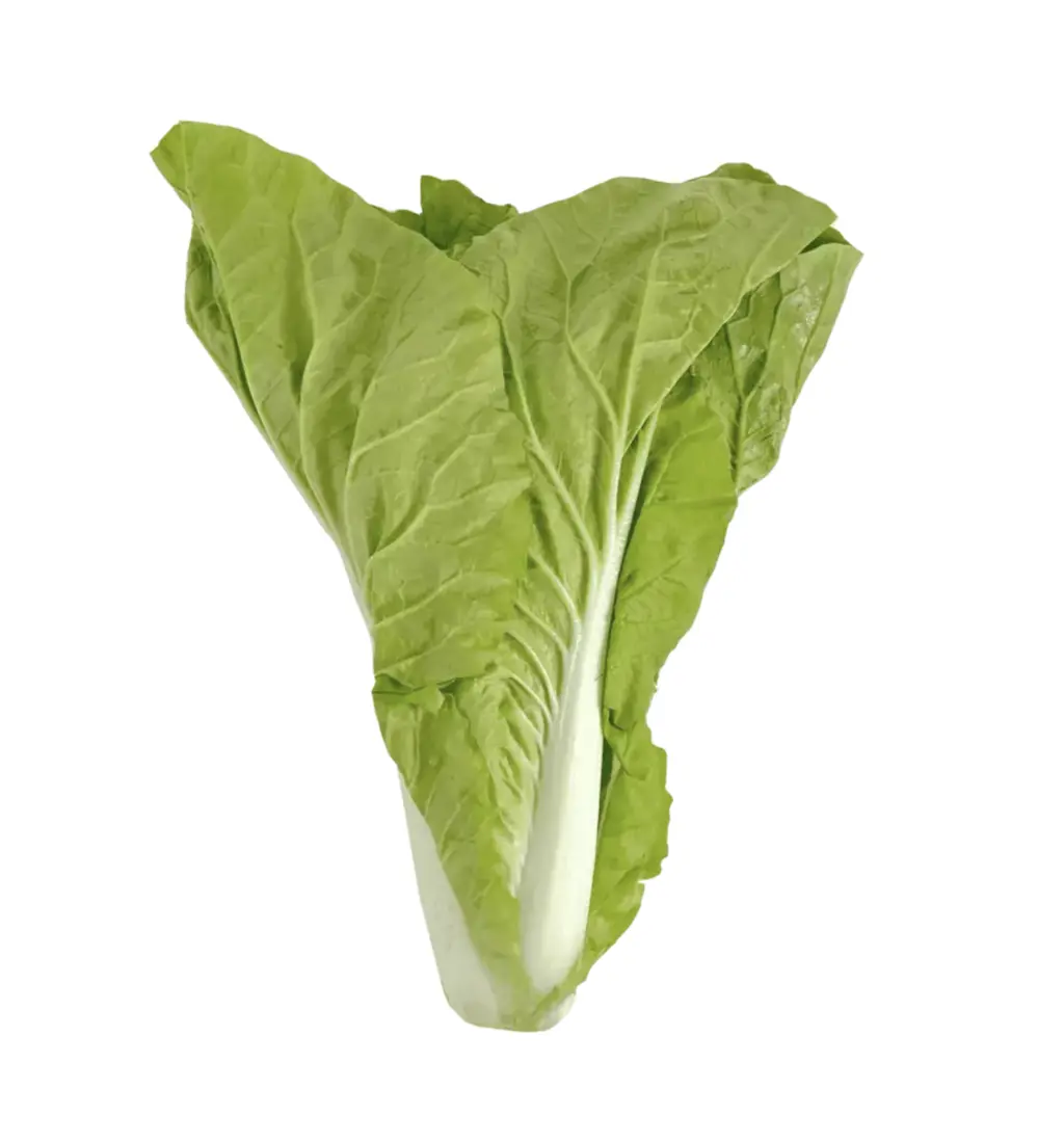 Royal Choi ca400-500g/förpackning Spanien