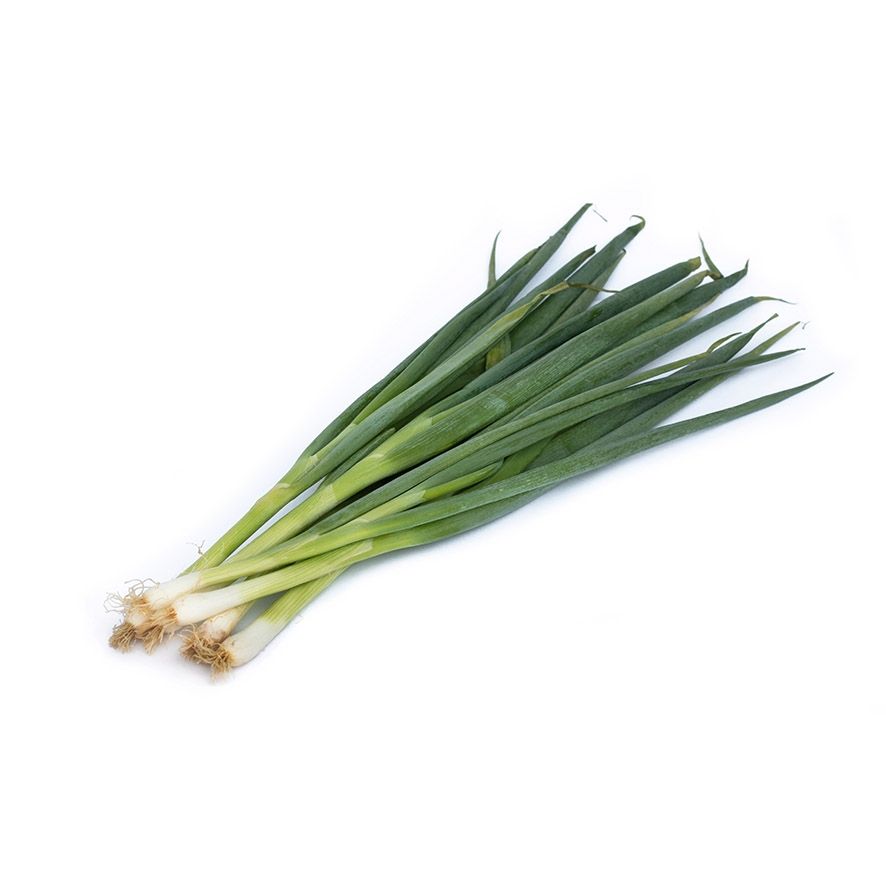 Green onions Fresh 1  bundle Netherlands