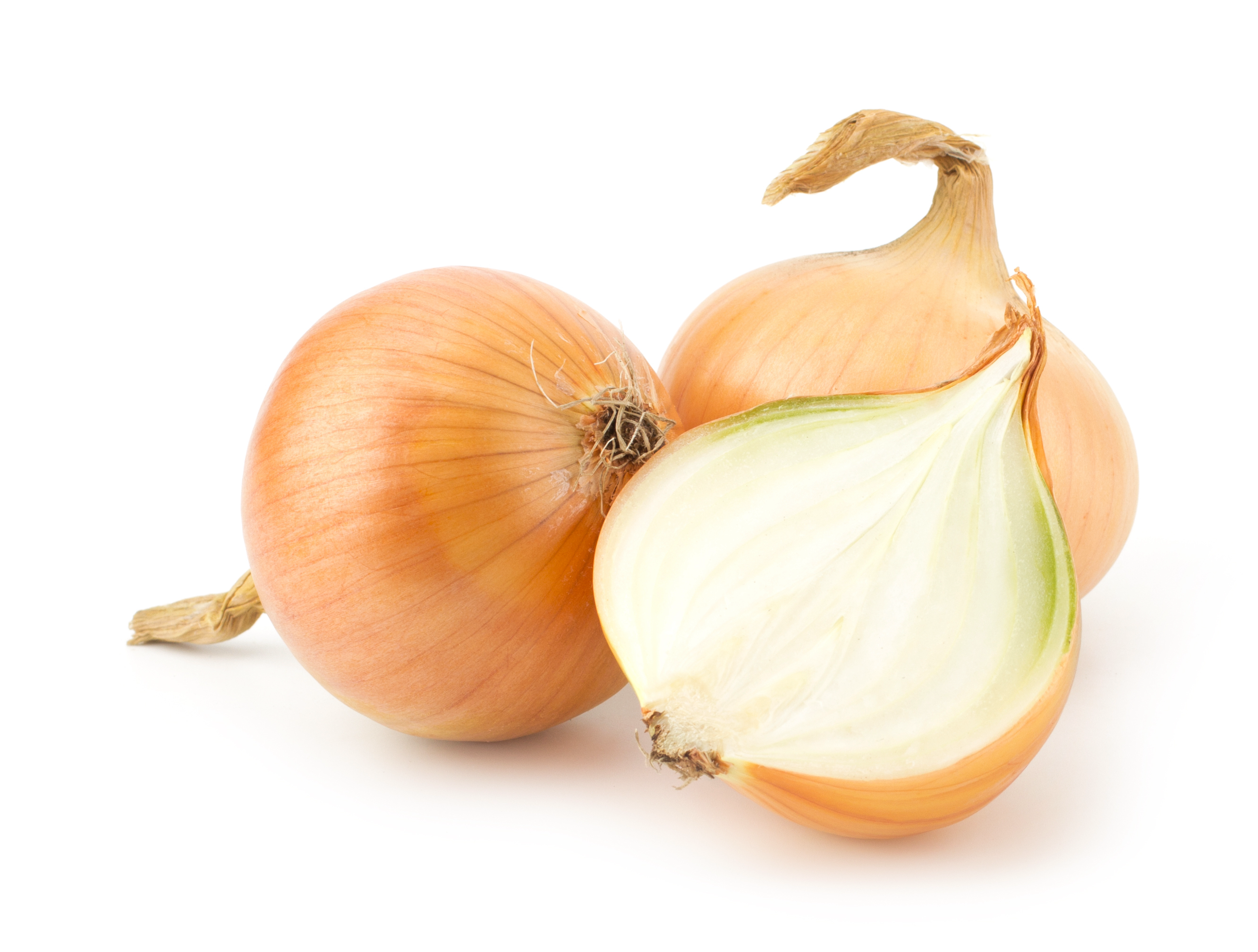 Yellow Onion Ca900-1000g price per package Netherlands