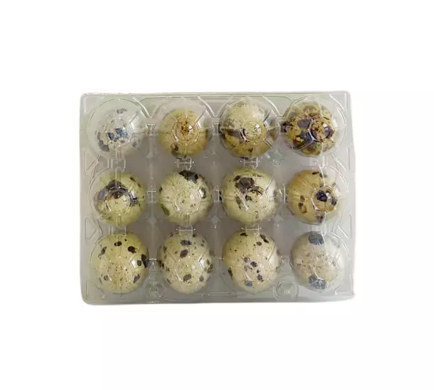 Quail Eggs Fresh 12pcs/box WABU Latvia