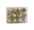 Quail Eggs Fresh 12pcs/box WABU Latvia