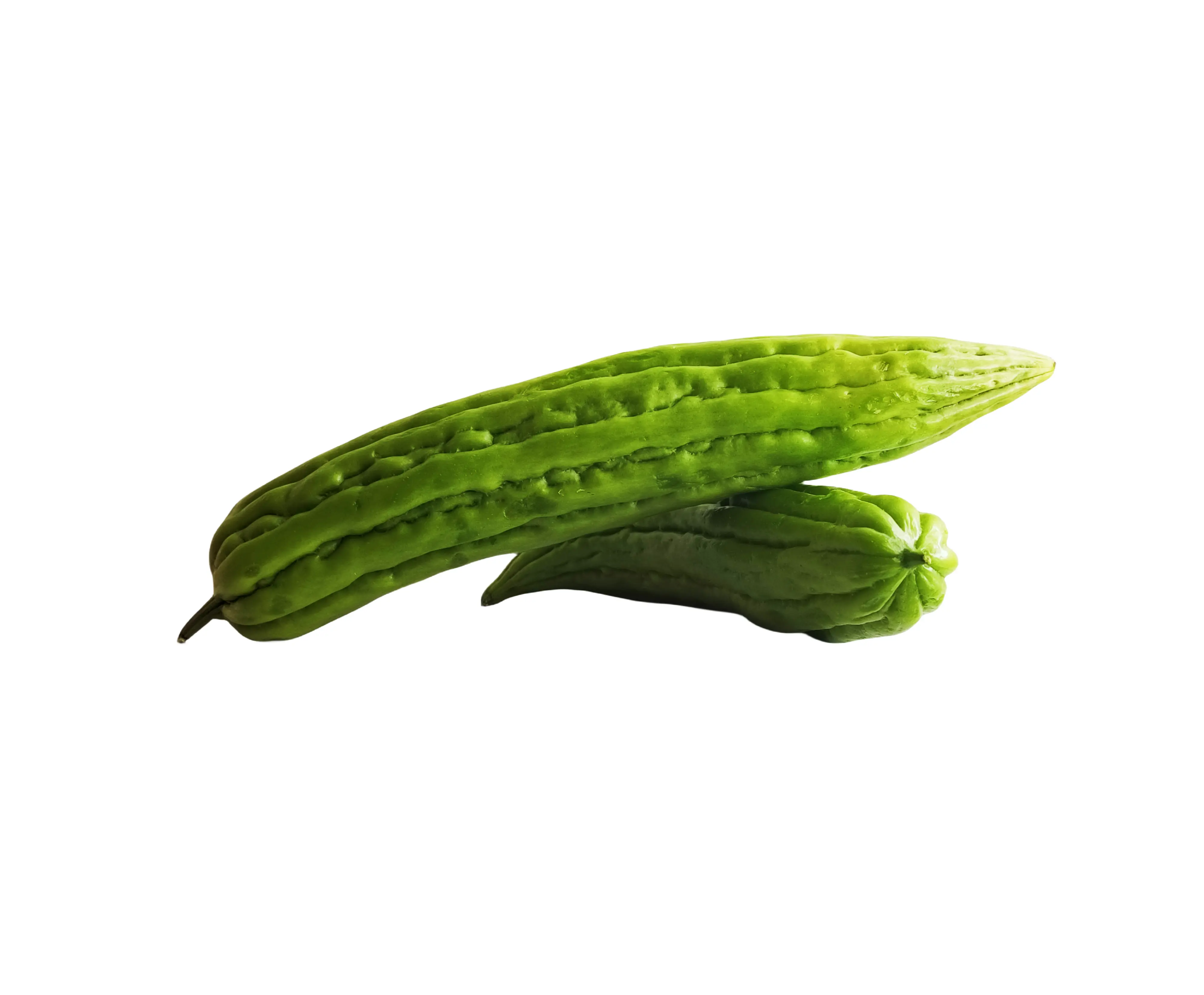 Bittermelon / Bittergurka 500g-600g Spaniean