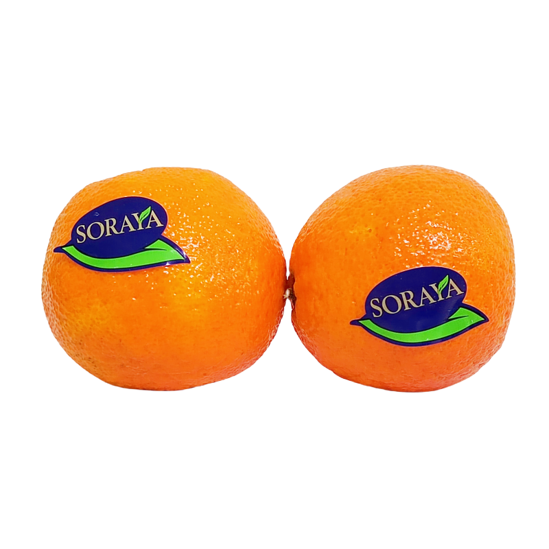 Mandarin Tangerine ca900-1000g/paket  Spanien