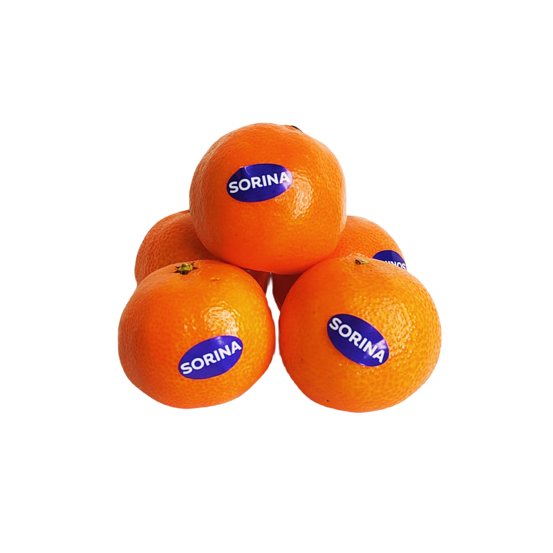 Mandarin Tangerine Små ca900-1000g/paket  Spanien