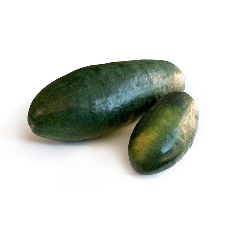 Vintermelon ca900-1000g price per package China