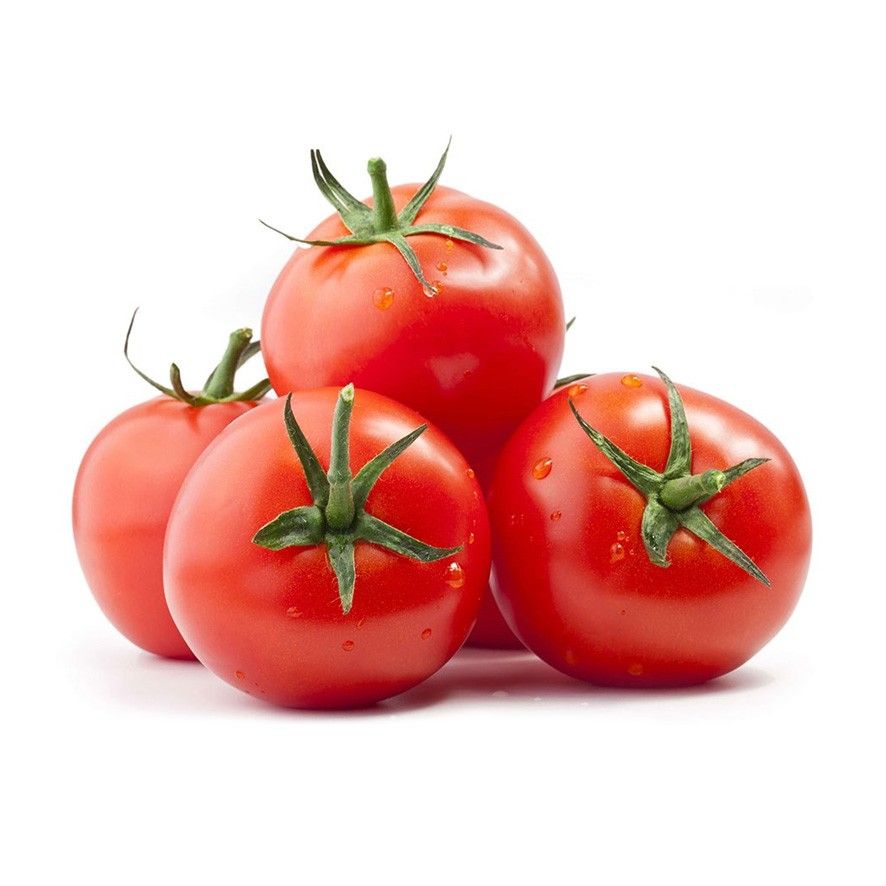 Tomato ca 900g-1000g/pack  Netherlands