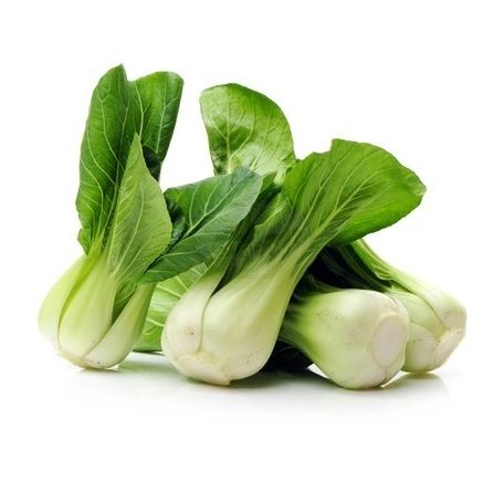 Bok Choy (Pak Choi) Mini Green Stem ca500g Netherlands