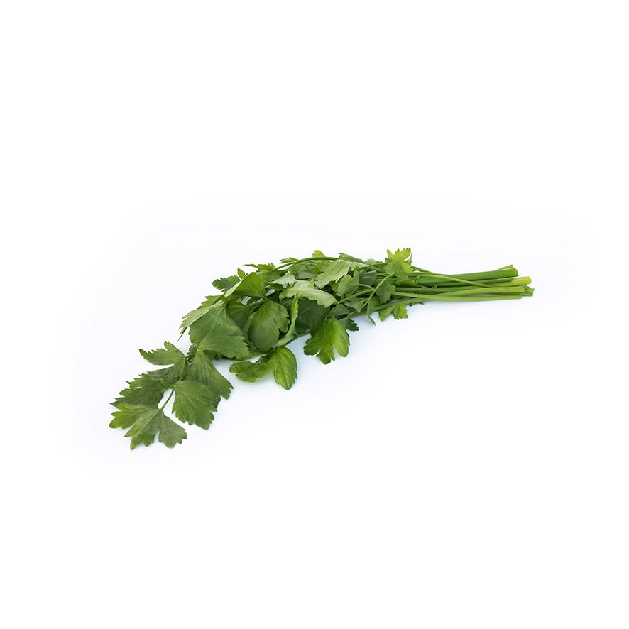 Koriander ca 90g per bunt  Nederländerna