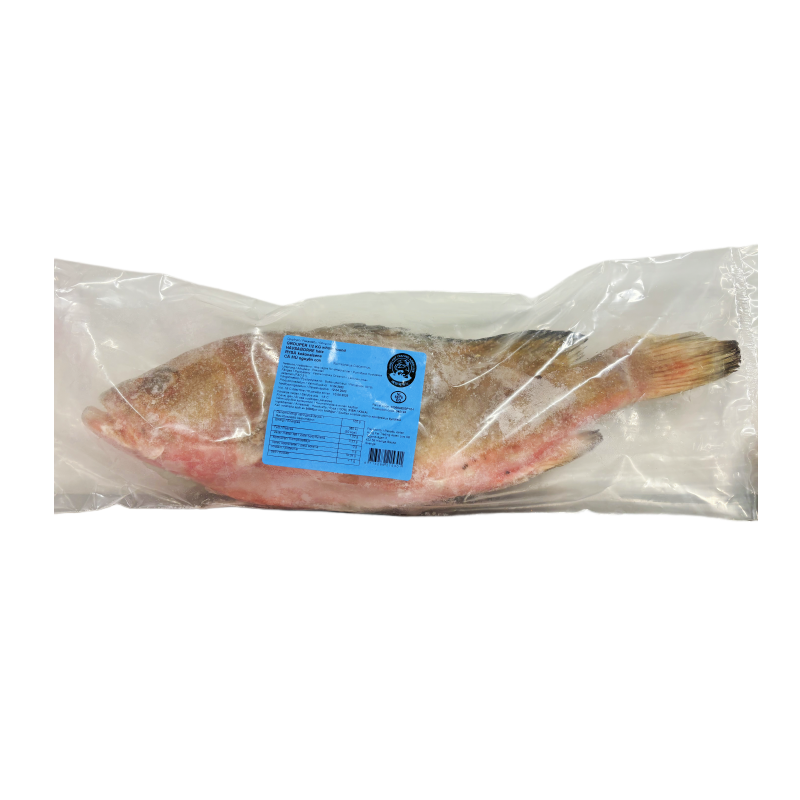 Fisk Grouper Ca Mu SBY Fryst ca1,5-2kg, priset avser en fisk på 2kg.Pakistan