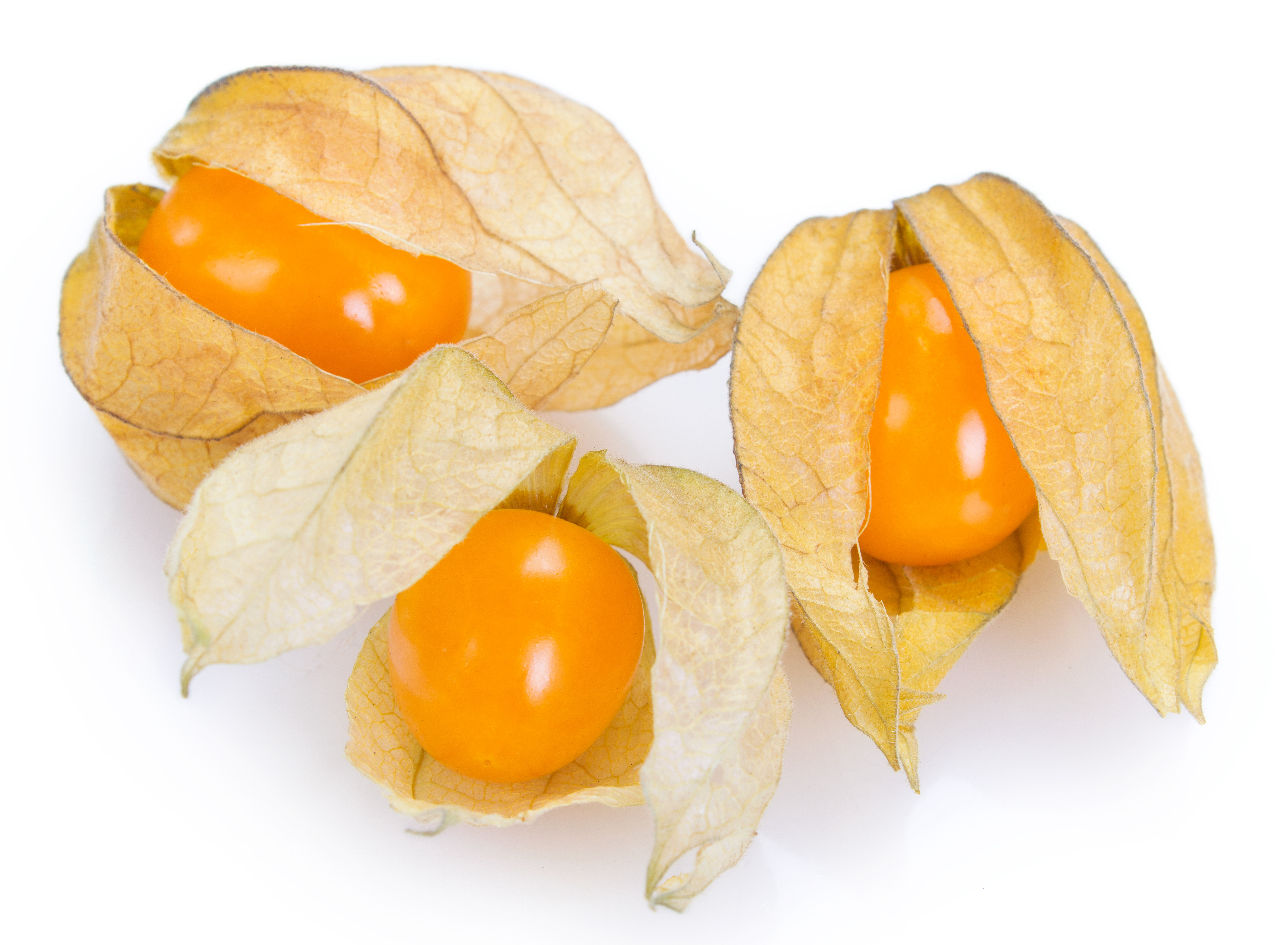 Physalis 100g/Pack - Colombia