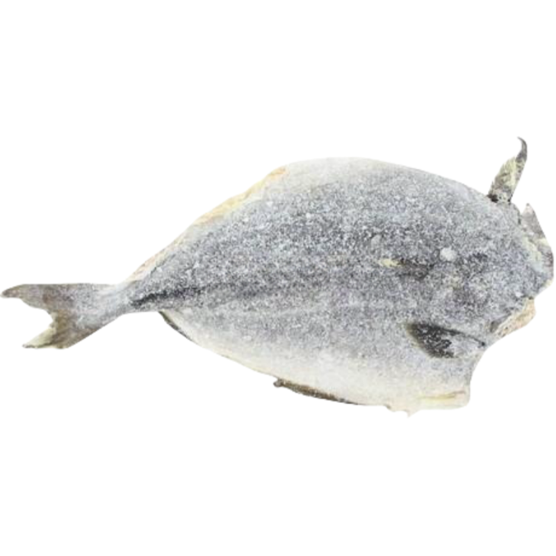 Torkad Och Saltad Saithe (MAKAYABU) 31/70 ca1kg Northern Fisk Norge