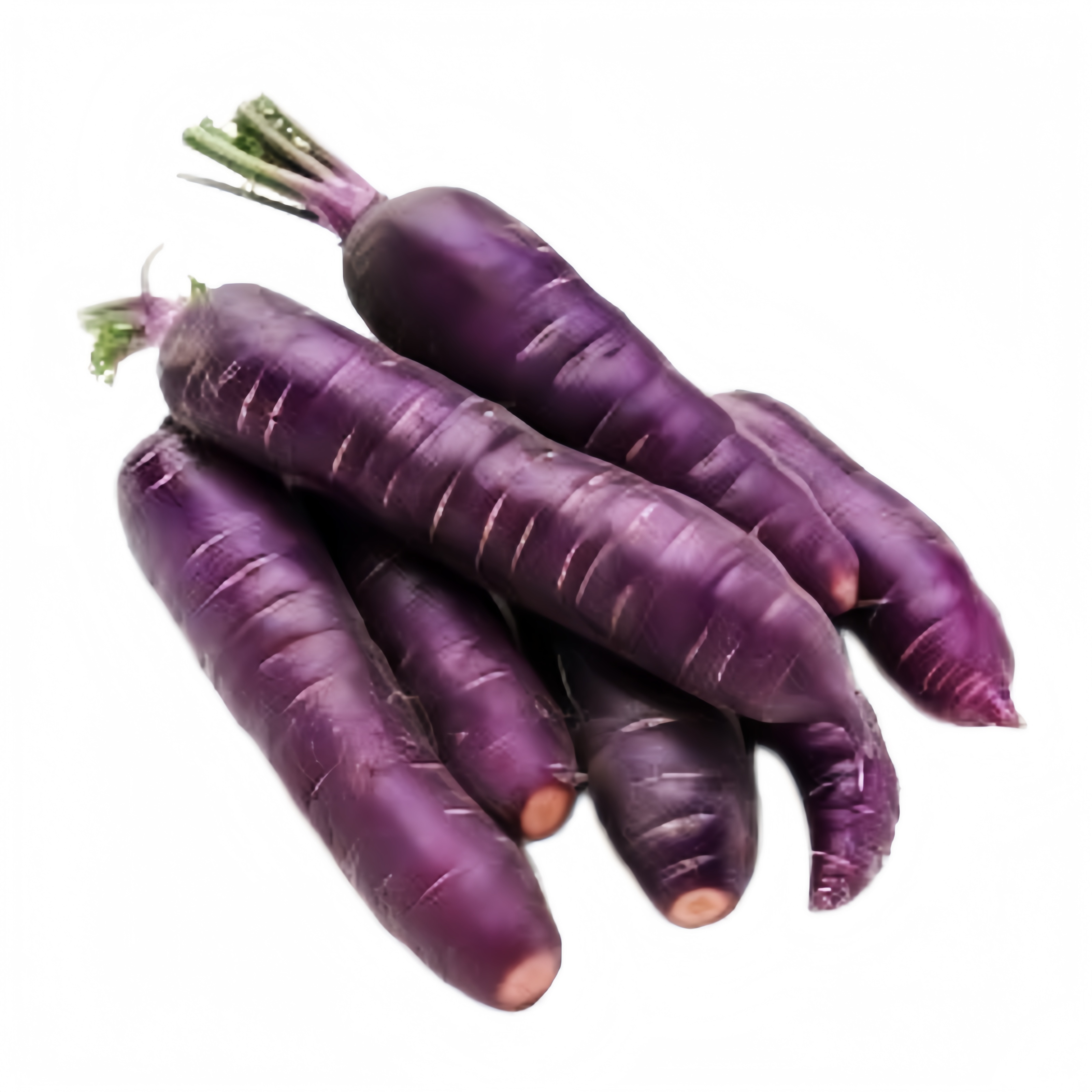 Morot Lila 900-1000g-pris per paket Kina