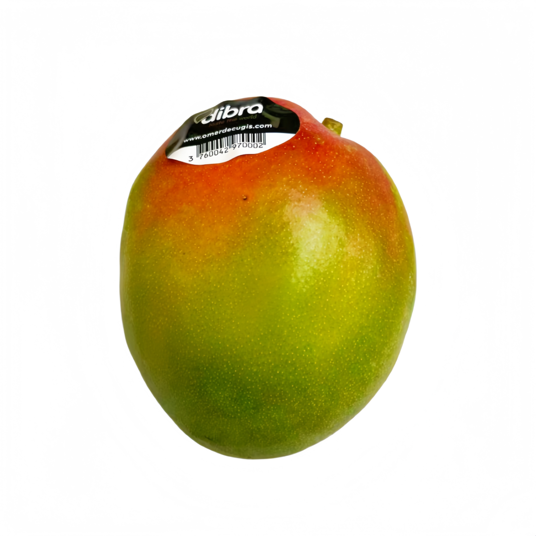 Mango Kent Ca500g-600g/st-Pris per Styck Elfenbenskusten