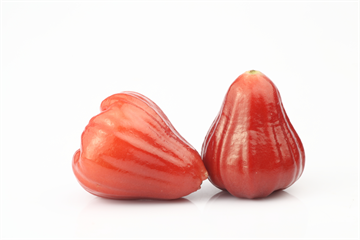 Vax Äpple Färsk 500g Kina