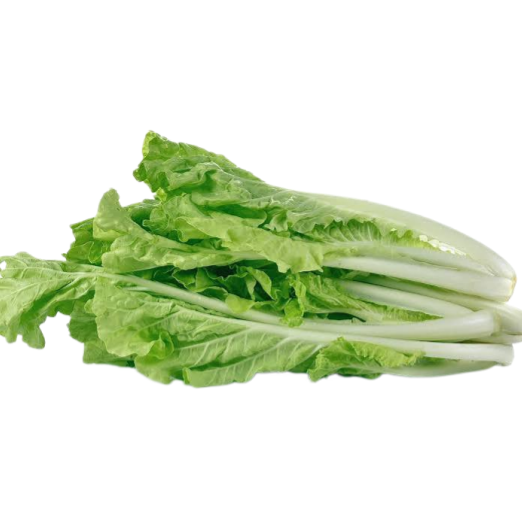 东京小松菜（小白菜）约500 荷兰