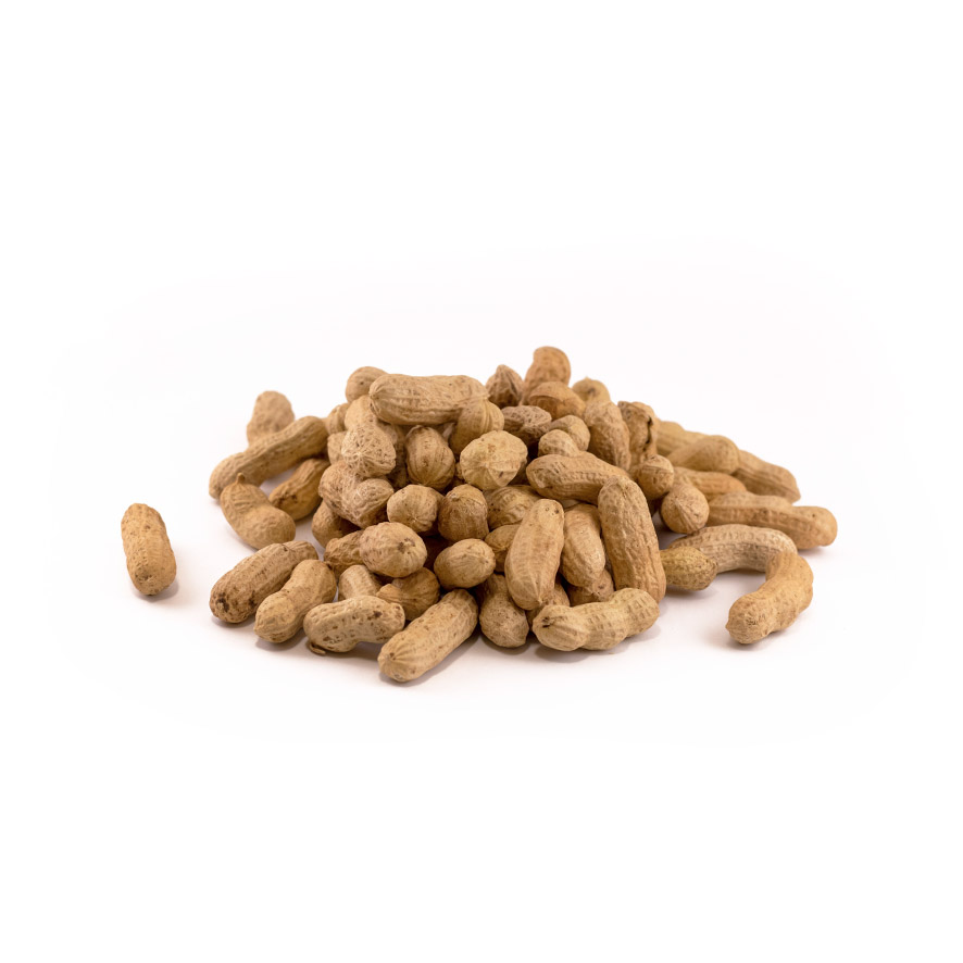 Jordnötter med skal Färska 500g