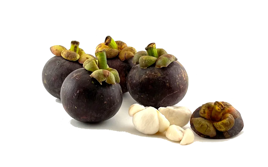 Mangostan 500g/FörpThailand