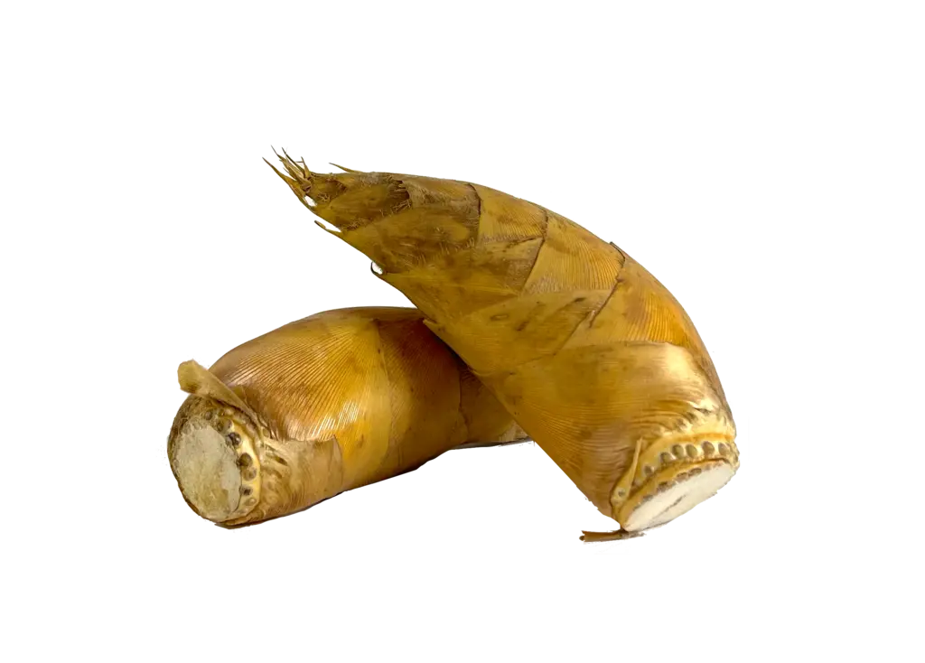 Winter Bamboo Fresh 900-1000g - China