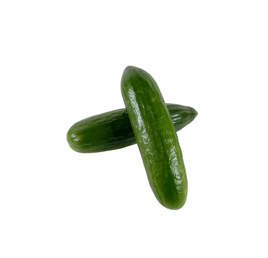 Cucumber Mini ca500-550g/pack price per package Netherlands