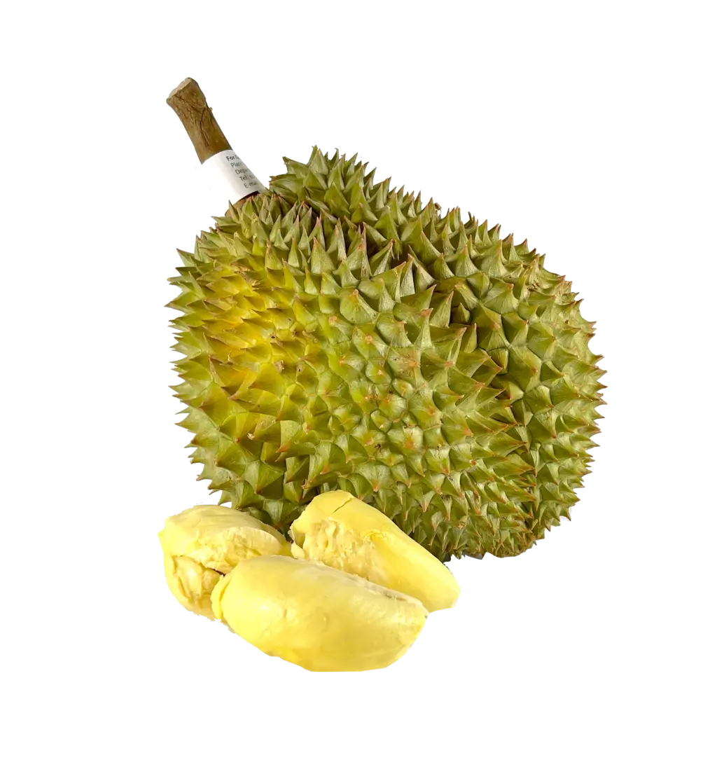 Durian Whole Frozen ca2kg - TCT Vietnam, the price refers to a Durian of 2kg.