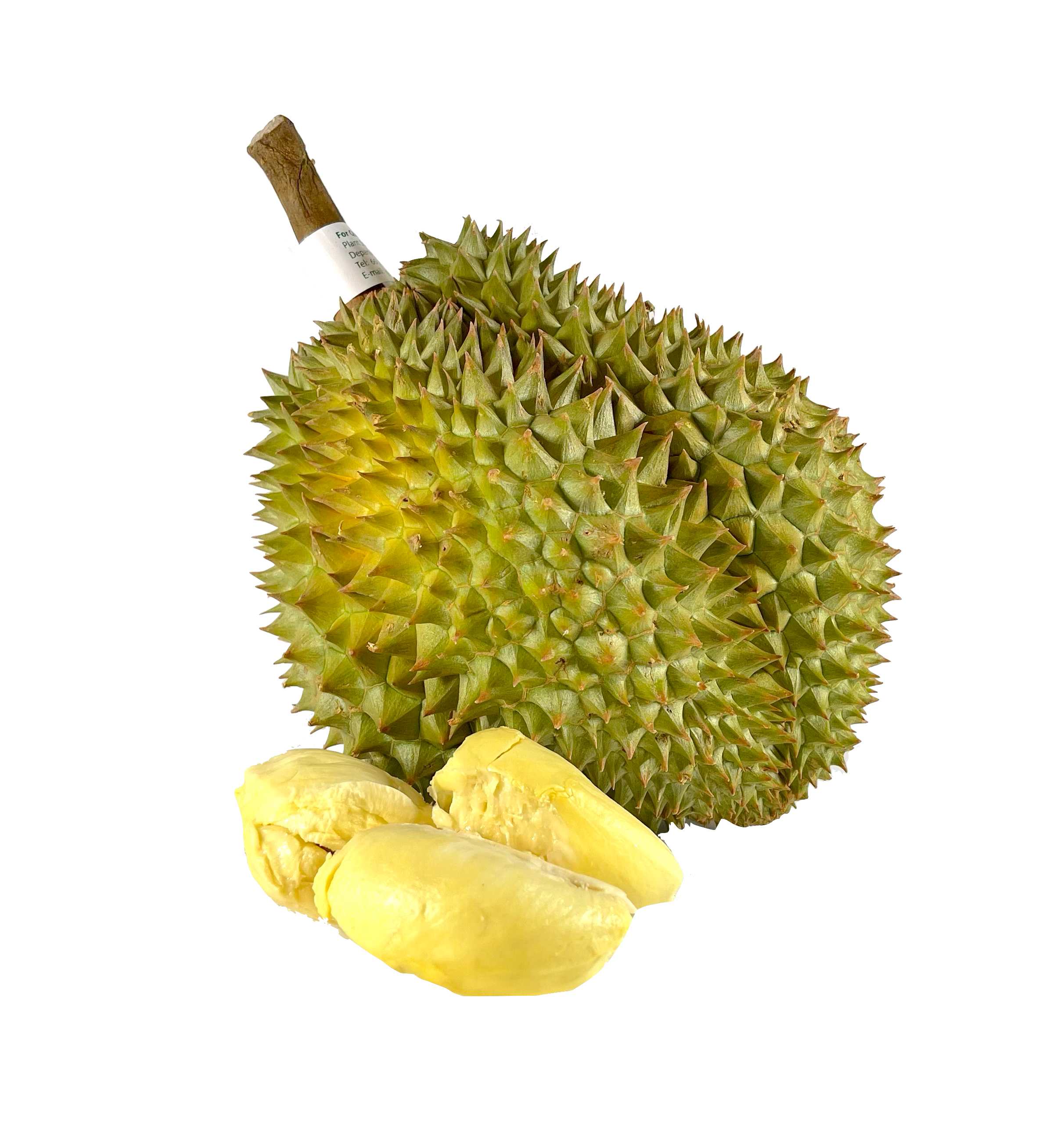 Durian Frukt Fryst ca2.5kg/st Thailand